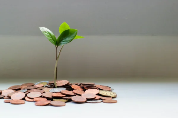 Juros Compostos: O Que São e Por Que São a Chave dos Investimentos